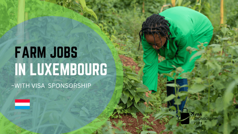 FARM JOBS IN LUXEMBOURG WITH VISA SPONSORSHIP.p