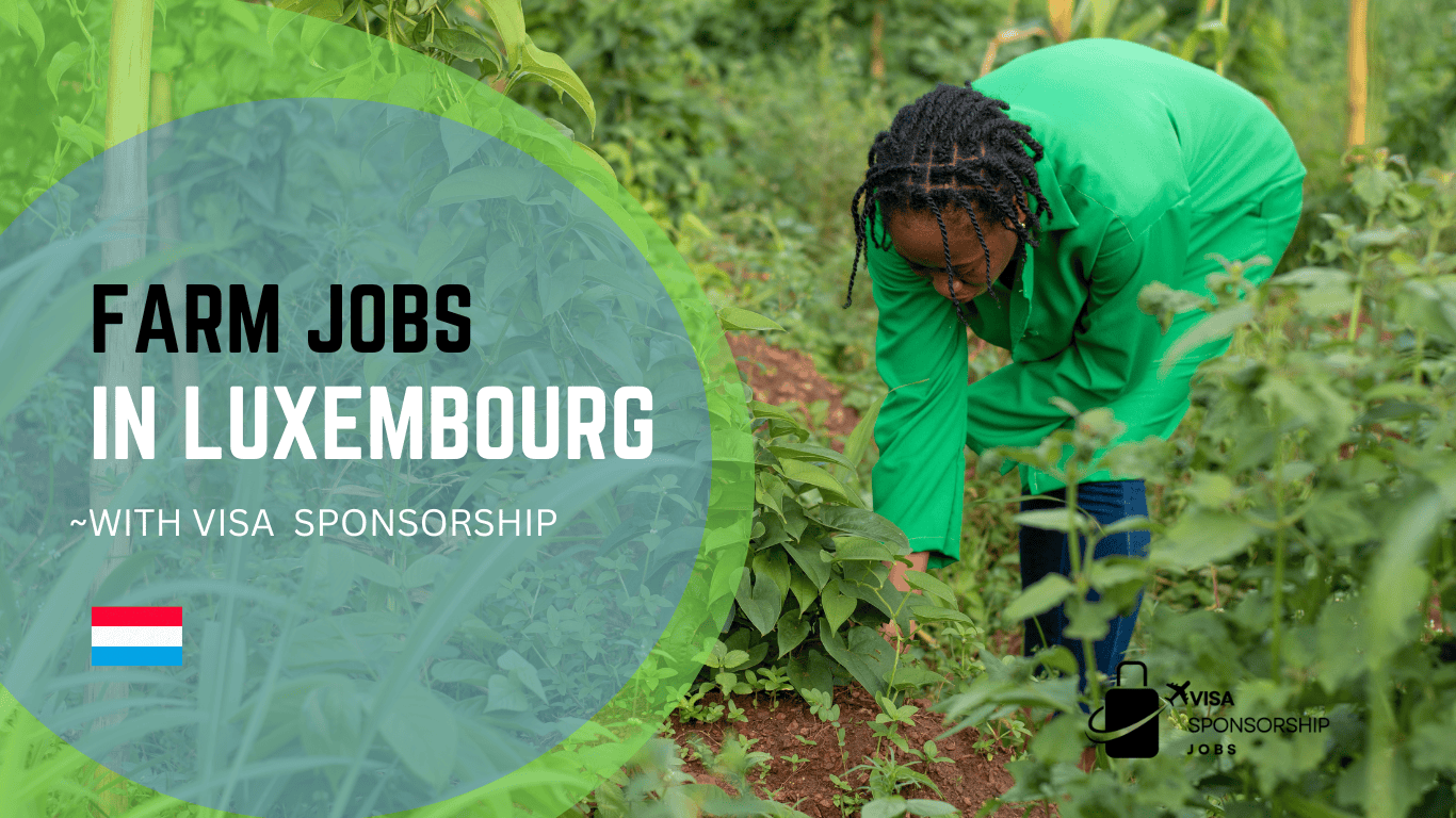 FARM JOBS IN LUXEMBOURG WITH VISA SPONSORSHIP.p