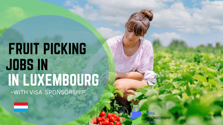 FRUIT PICKING JOBS IN LUXEMBOURG WITH VISA SPONSORSHIP