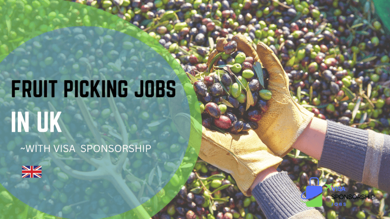 FRUIT PICKING JOBS IN UK WITH VISA SPONSORSHIP