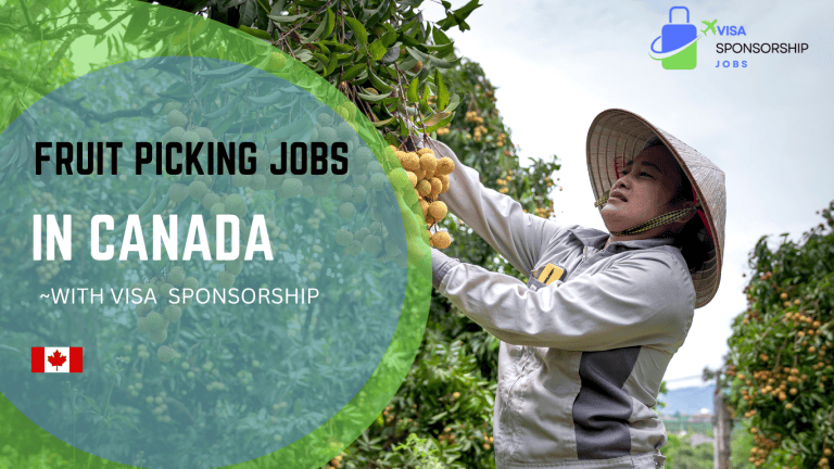 FRUIT PICKING JOBS IN CANADA WITH VISA SPONSORSHIP